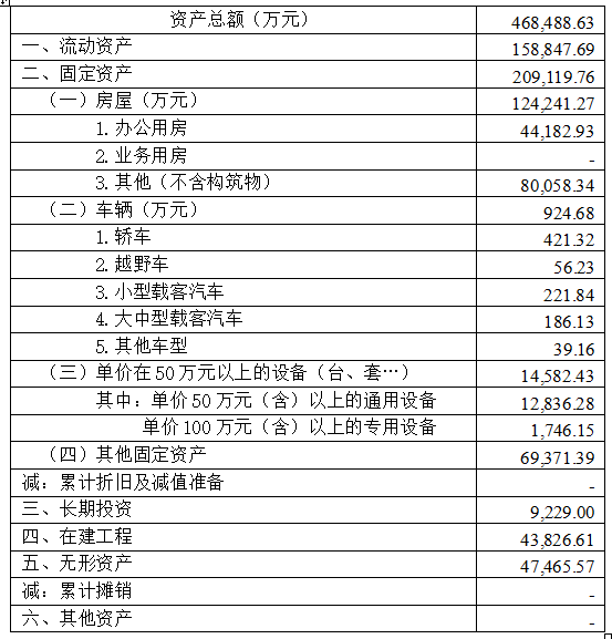 2016年末资产占用情况.png
