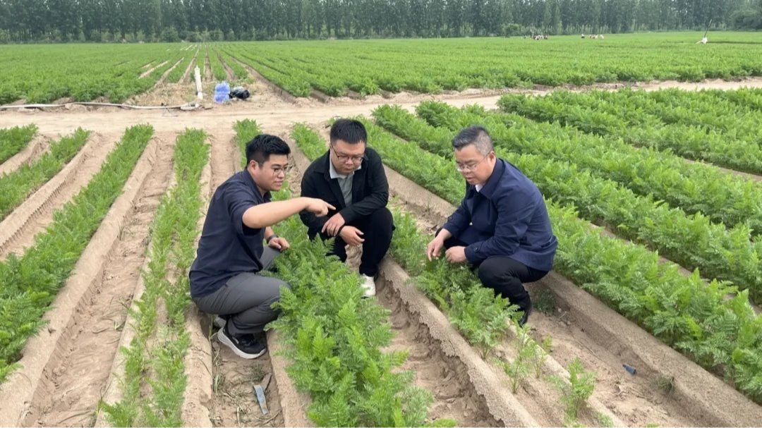破解农耕难题！西理工智能农业机器人亮相！